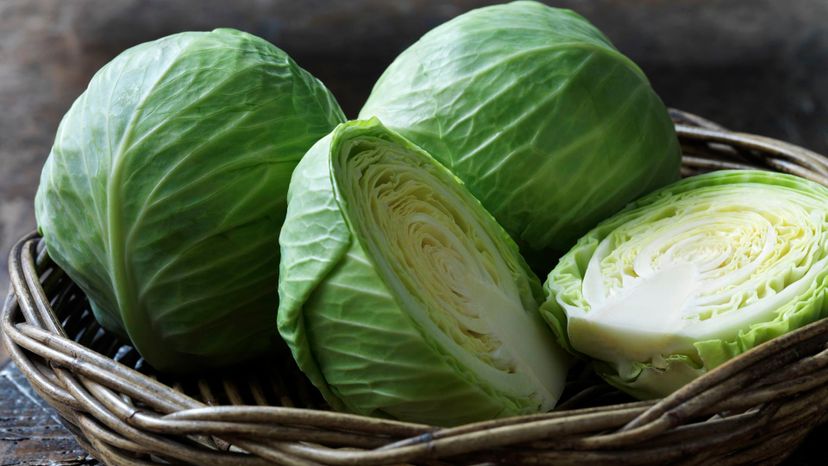6 cabbage GettyImages-683732681