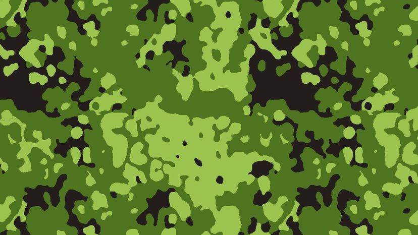M84 camouflage