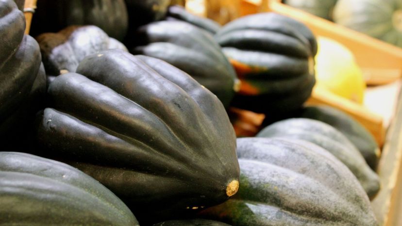 acorn squash