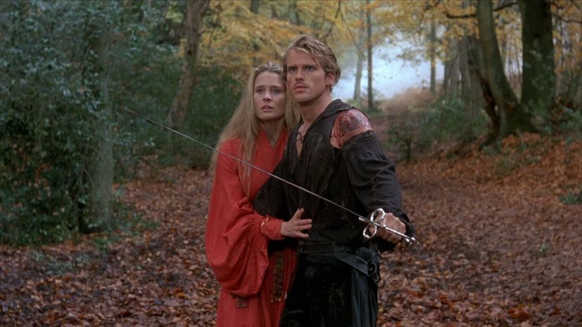 Which "The Princess Bride" Character Are You?