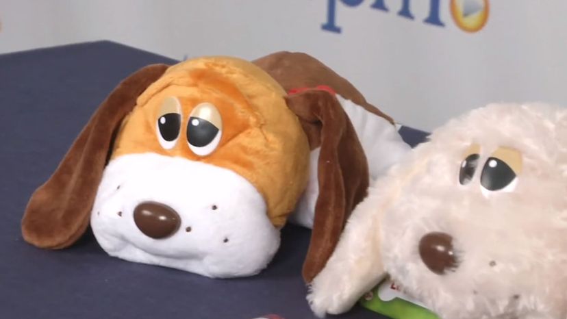 Pound Puppies