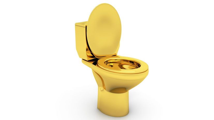 Q 28 Gold toilet
