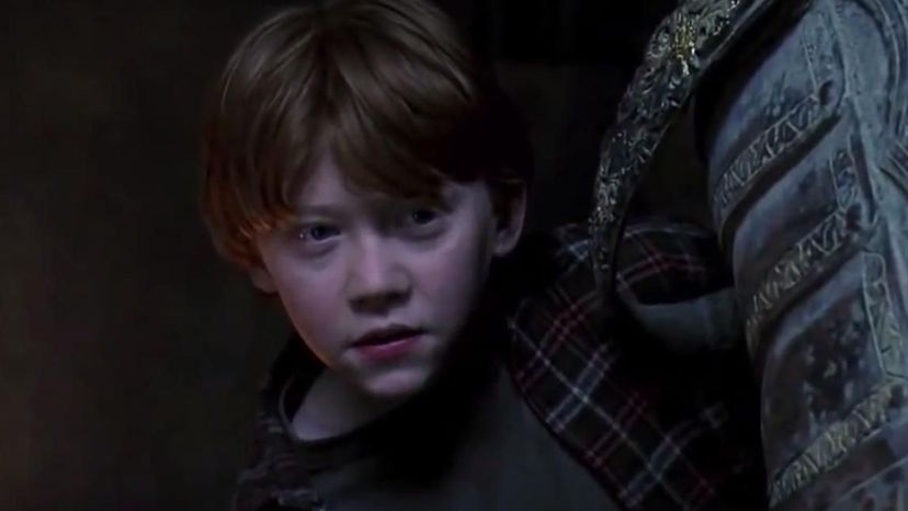 Can You Guess These Harry Potter Characters From One Sentence?