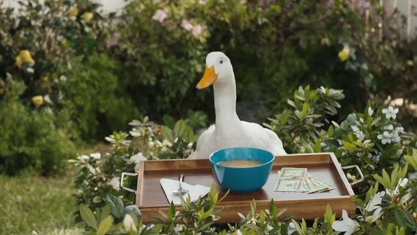 Ask about it at work The Aflac Duck