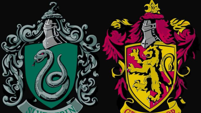We Know If You're More Gryffindor Or Slytherin Based On What You Like To Drink