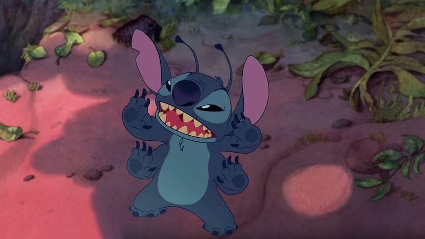 Stitch