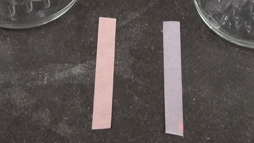 Litmus paper