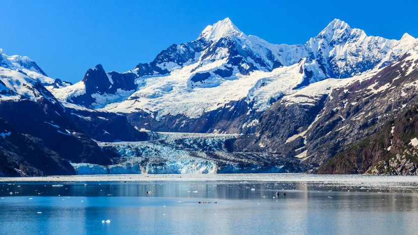 Glacier Bay