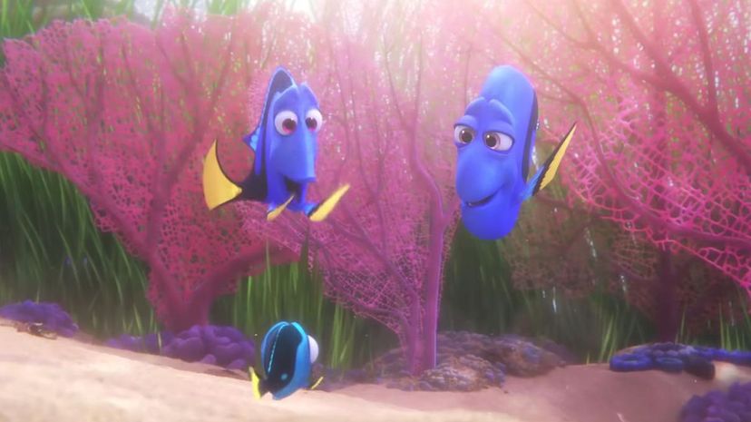 11 - Finding Dory
