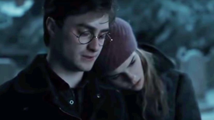 14_Harry-Hermione