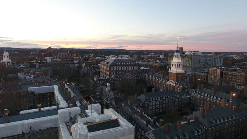Cambridge (Harvard University) 