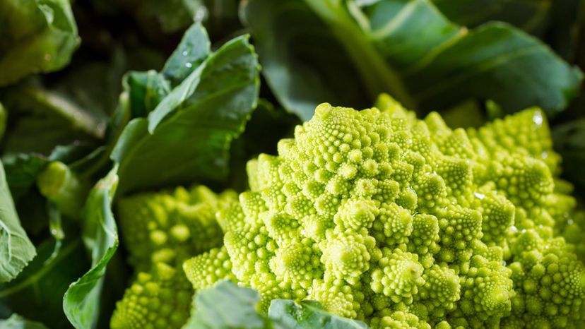 Romanesco