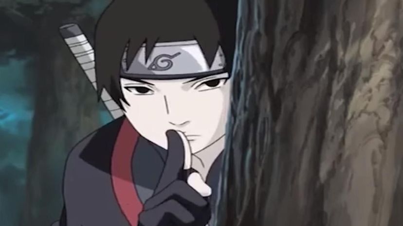 Sai