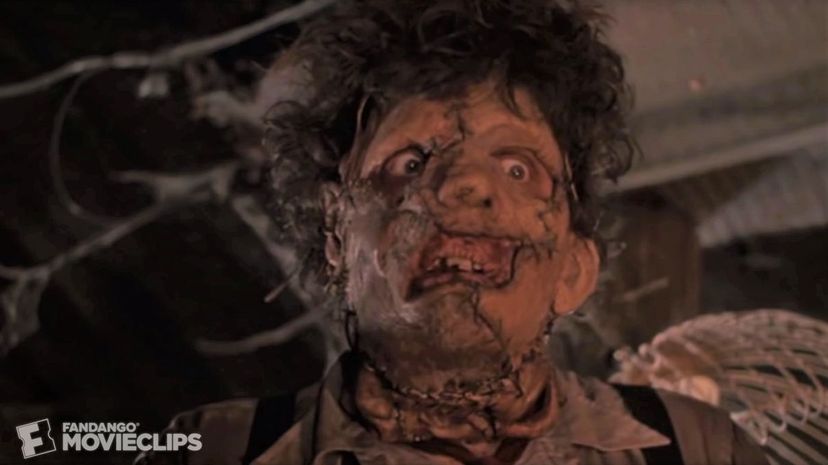 The Texas Chainsaw Massacre 2