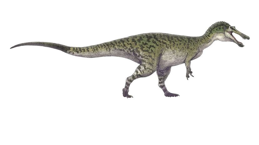 Baryonyx