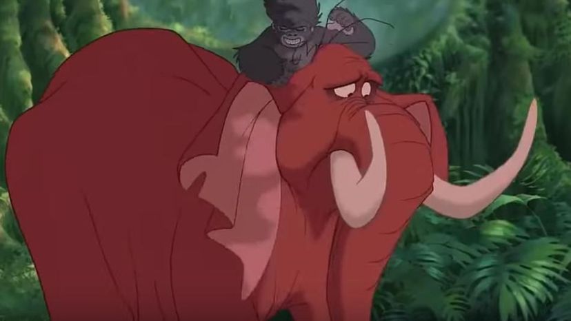 Tantor