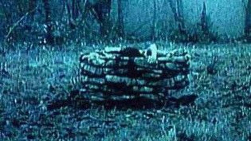How well do you remember The Ring?