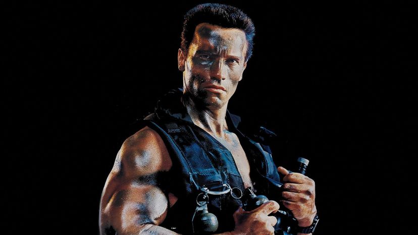 Arnold Schwarzenegger