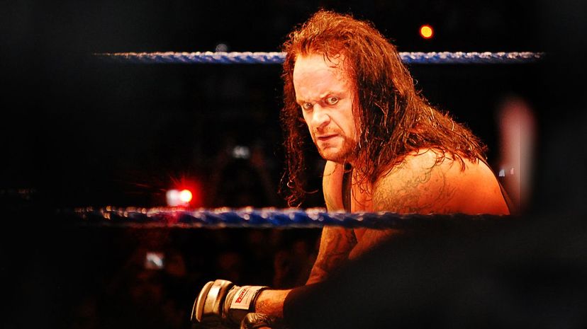 Question 12 - The Undertaker