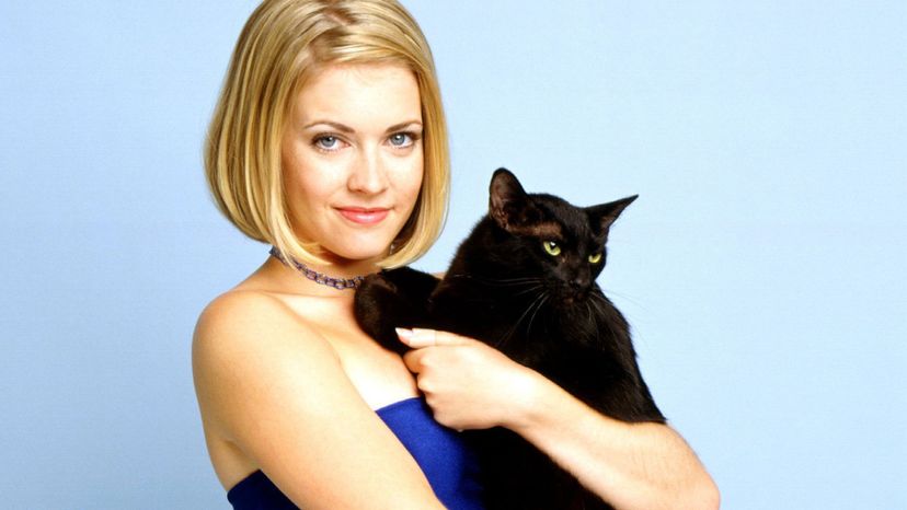 Salem Sabergen from Sabrina the Teenage Witch