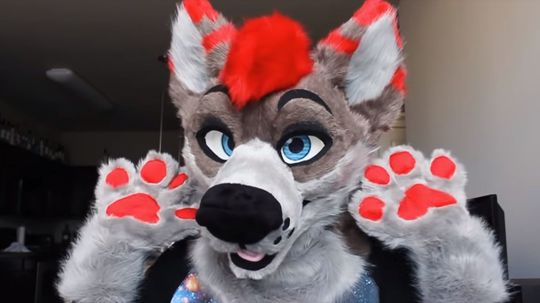 What Furry Speaks to Your Soul?