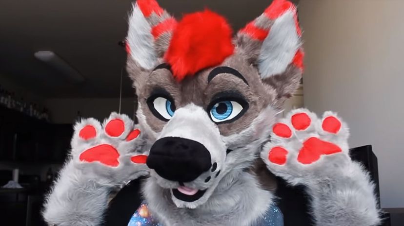 Quiz: Am I a Furry? 100% Fun and Accurate Results