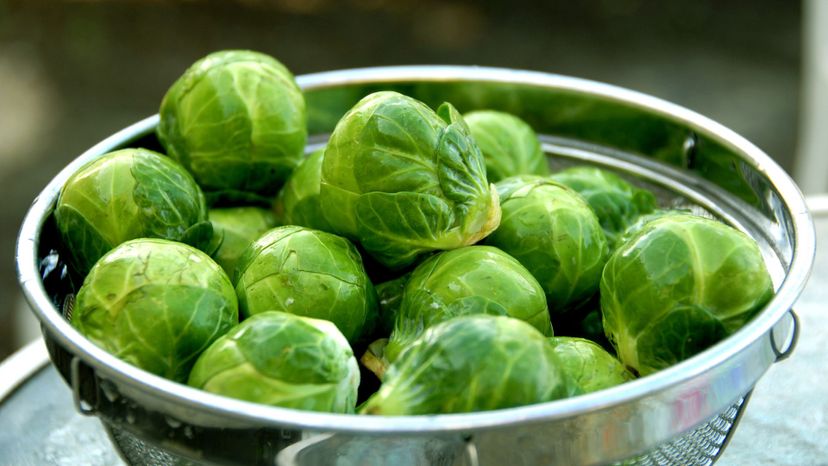 16 Brussel Sprouts GettyImages-172323340