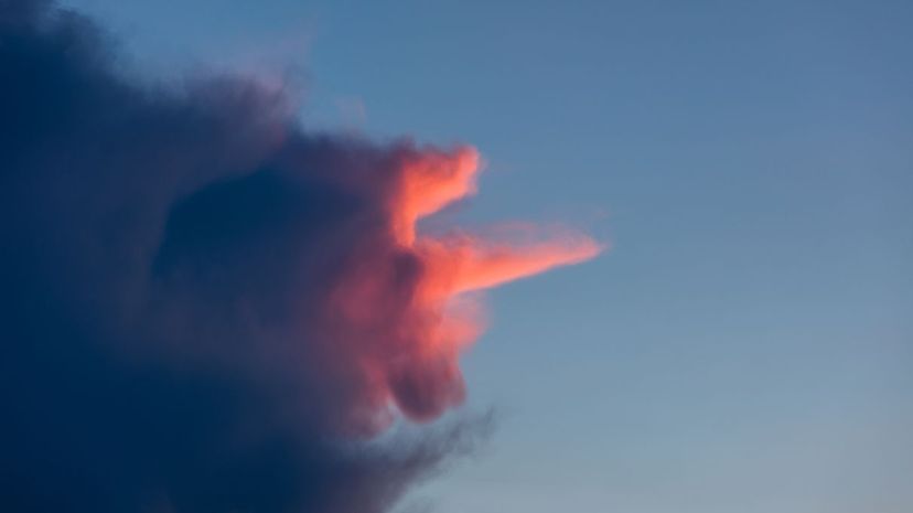 Unicorn Cloud