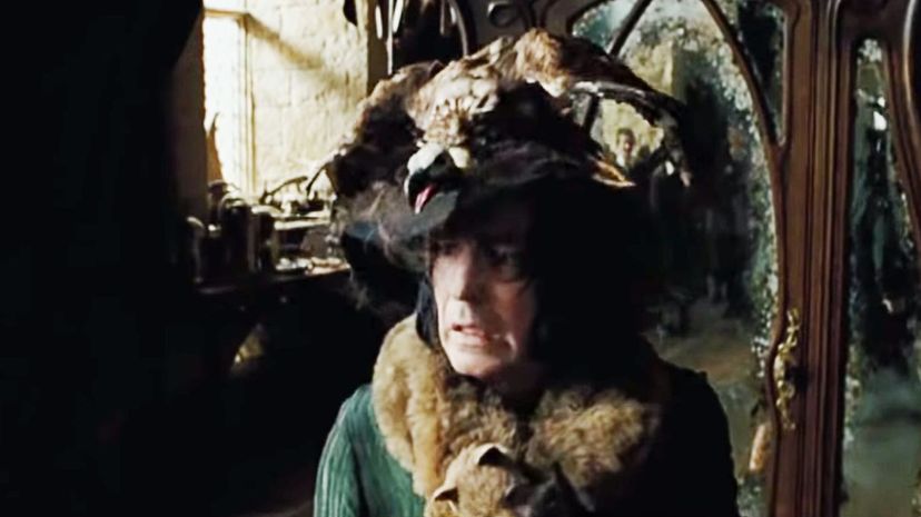 27_Snape-in-hat