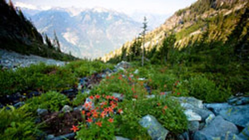 The Ultimate North Cascades National Park Quiz