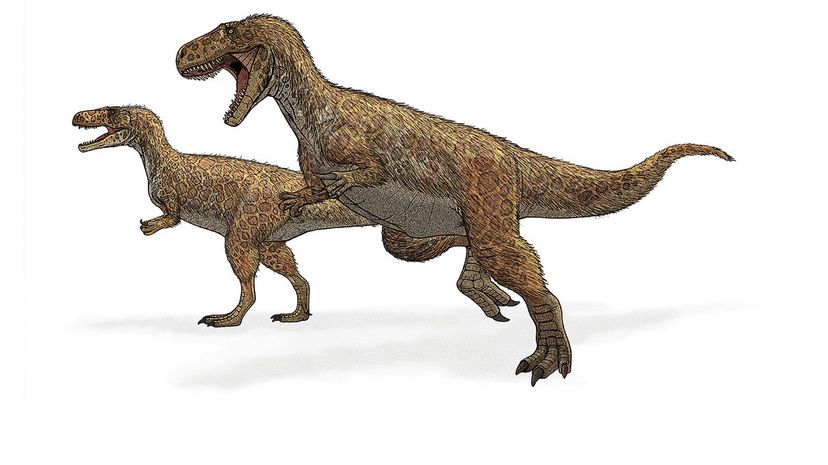 Megalosaurus