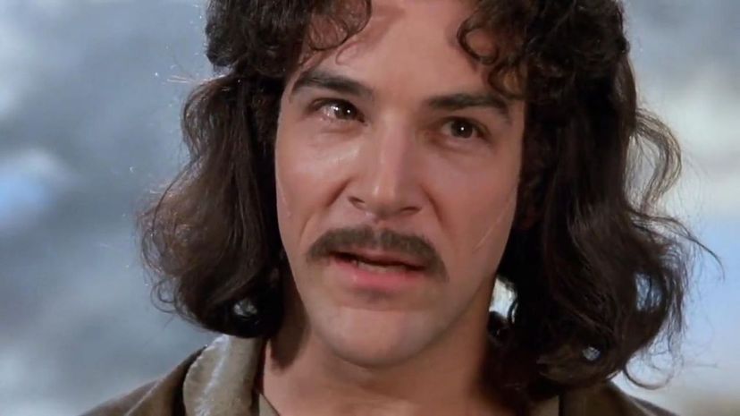 Which Princess Bride Character Are You?