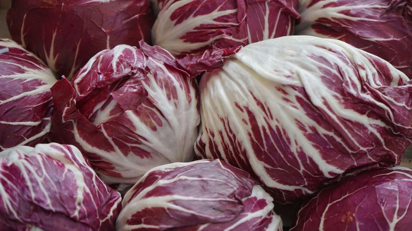 Radicchio