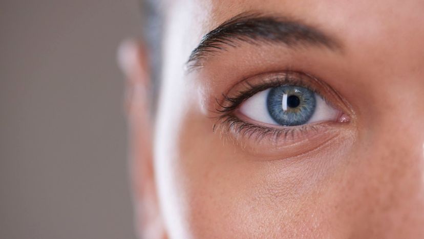 Can We Guess Your Eye Color Based on Your Makeup Preferences?