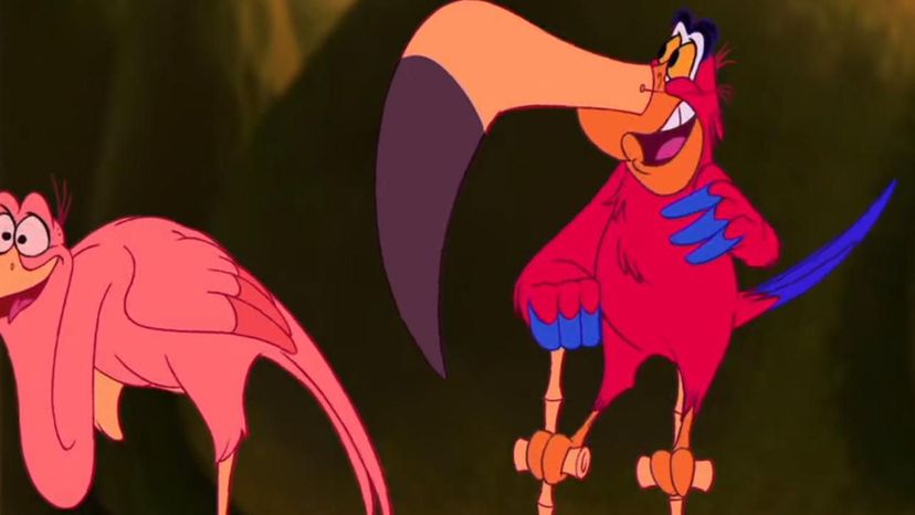 Iago Aladdin