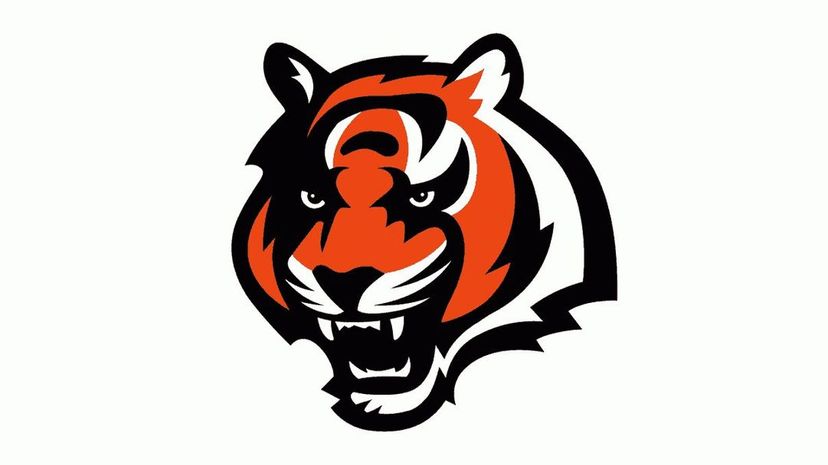 Cincinnati Bengals (1997-2003)