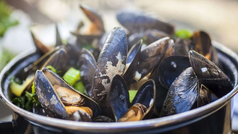 Moules Bruxelles