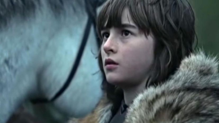 BranStark