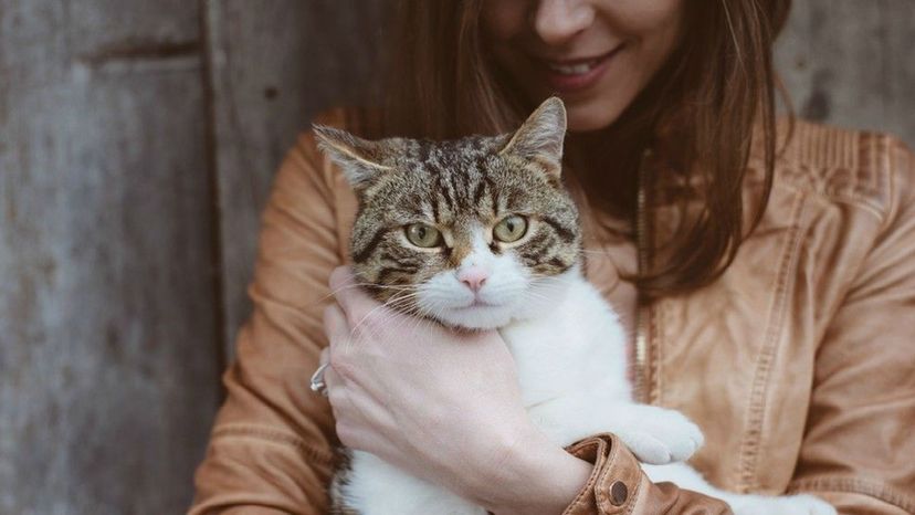 How Well Do You Really Know Your Cat?