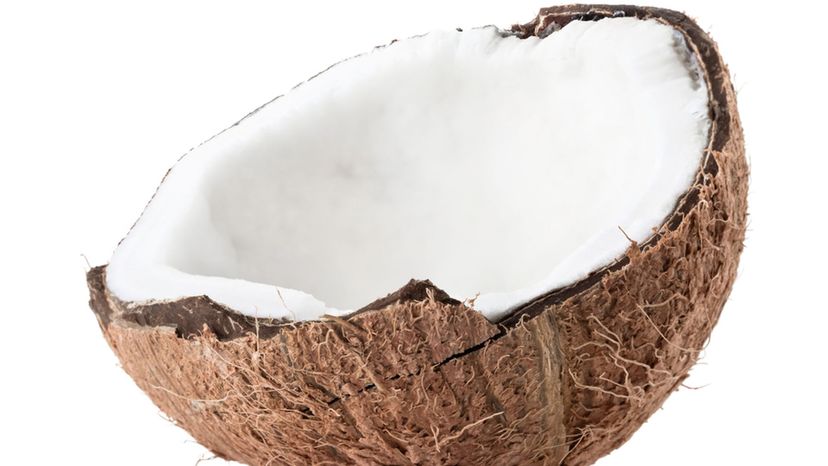 Coconut