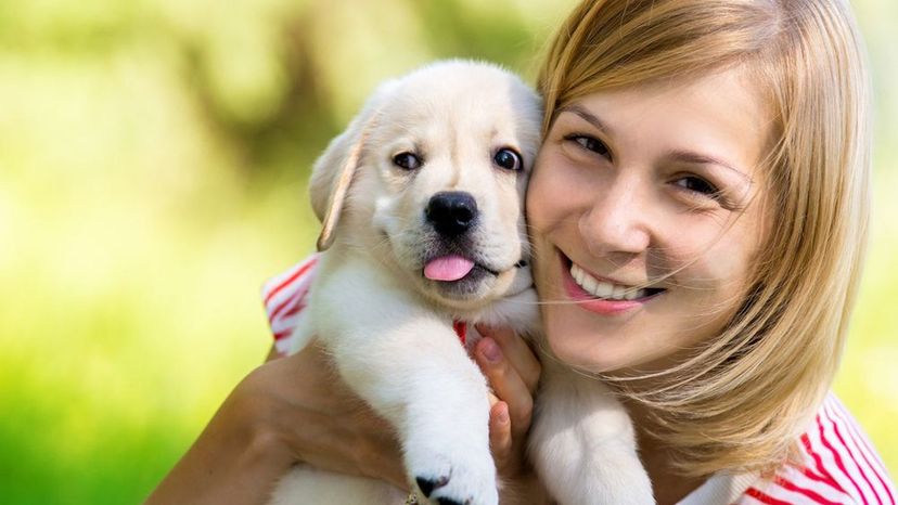 Which Adorable Dog Breed Is Your Soulmate?