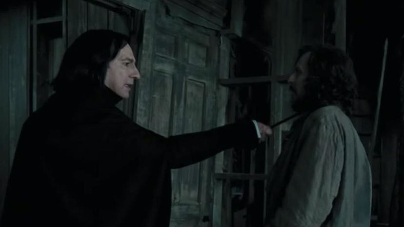 Snape &amp; Sirius