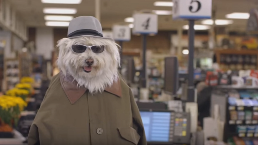 Doritos Dog - Doritos 2016 Super Bowl Commercial