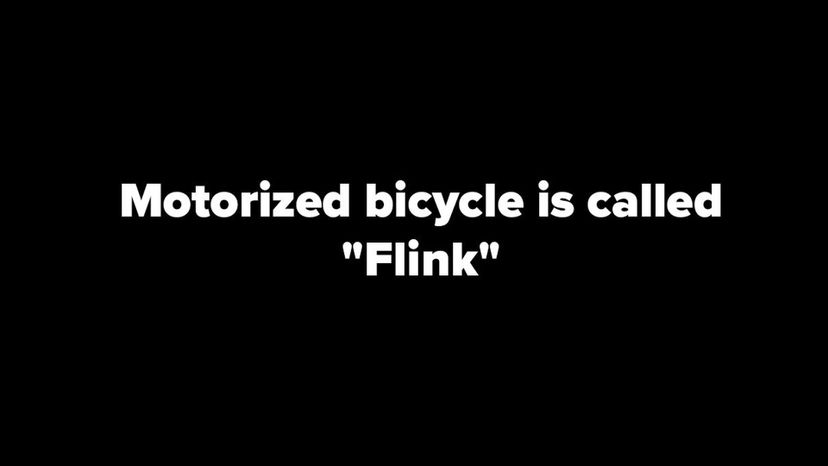 motorized bicycle is called Flink