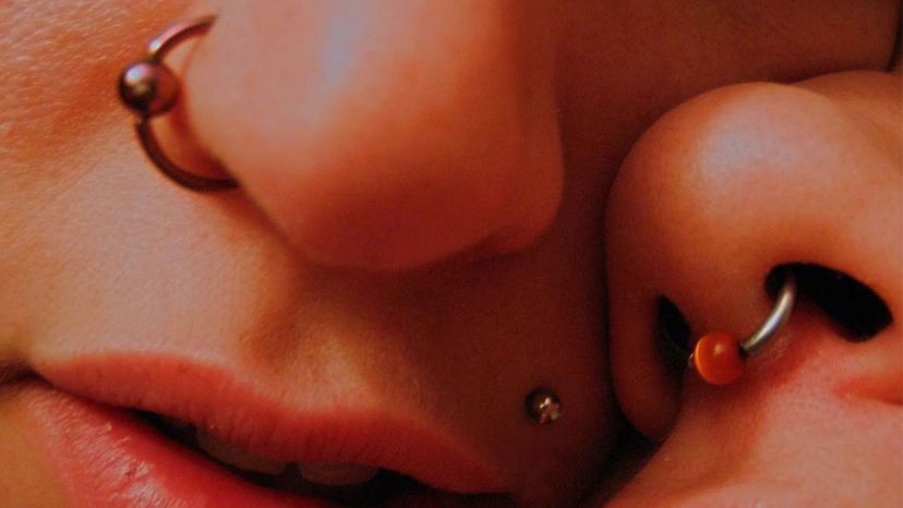 Do You Know What All of These Piercings Are Called?