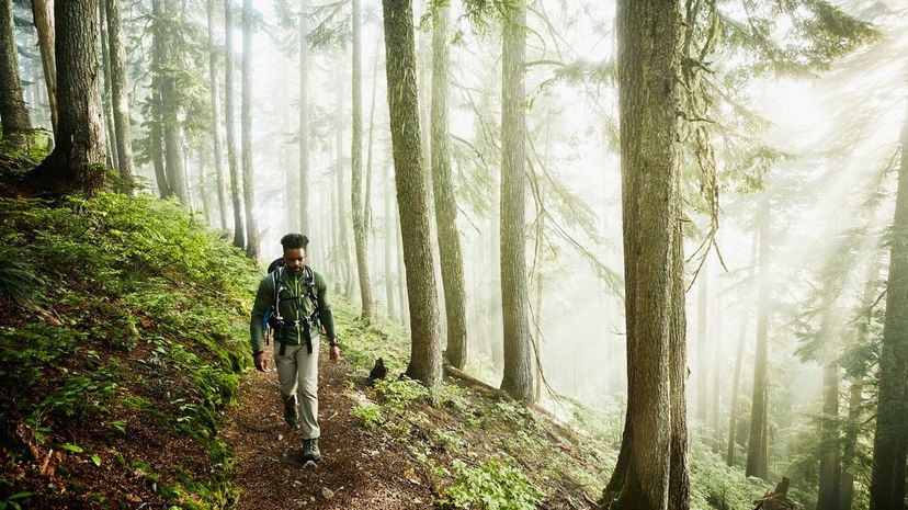 Man hiking in forest