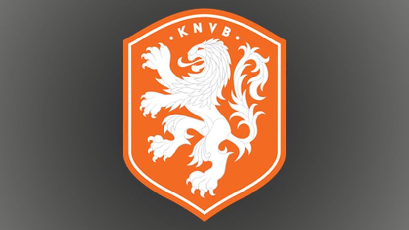 Netherlands National Football Team 