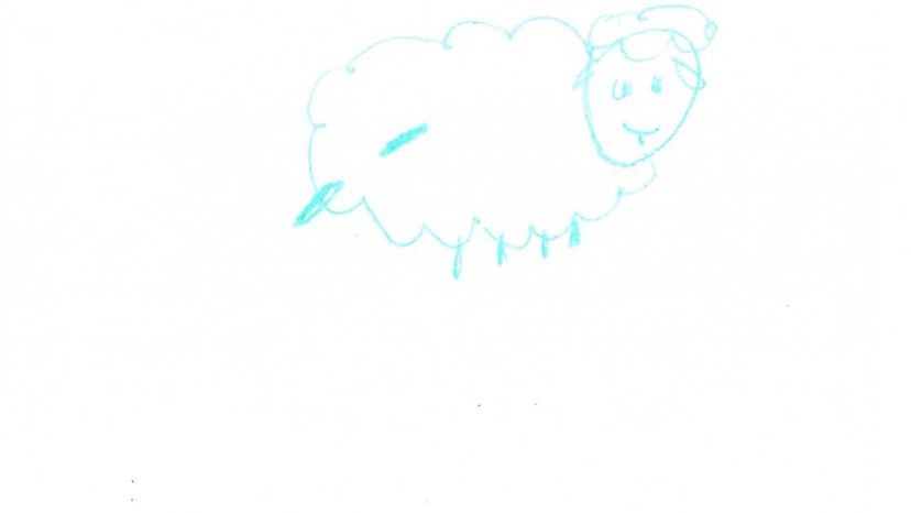 Sheep