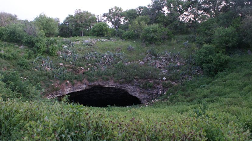 Bracken Cave