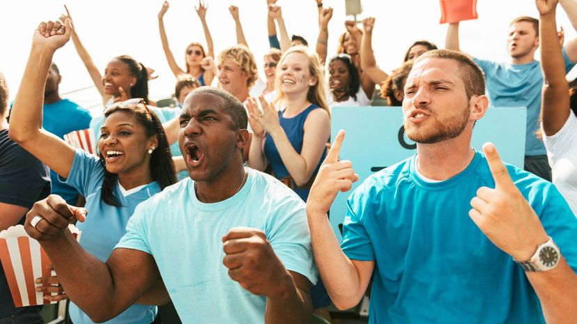 Crowd of fans at stadium